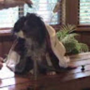 Meet your Posher, Bill